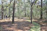 6321 Bears Bluff Road - Photo 6