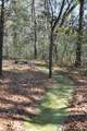 6321 Bears Bluff Road - Photo 7