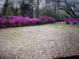1769 Clark Hills Circle - Photo 11