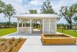 1675 Cultivation Lane - Photo 74