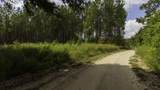 0 Weeping Cherry Lane - Photo 10