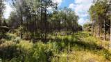 0 Weeping Cherry Lane - Photo 13