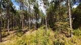 0 Weeping Cherry Lane - Photo 14