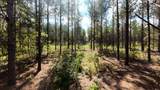 0 Weeping Cherry Lane - Photo 8