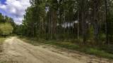 0 Weeping Cherry Lane - Photo 9