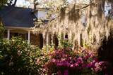 731 Pitt Street - Photo 11