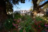 731 Pitt Street - Photo 42