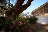 731 Pitt Street - Photo 47