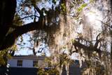731 Pitt Street - Photo 52