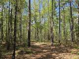 Lot 19 Patriot Road - Photo 16