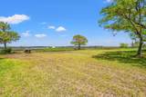 1212 Tabby Drive - Photo 4