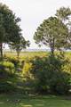 2407 Atlantic Avenue - Photo 4