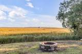561 Seaward Drive - Photo 7