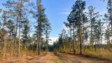0 White Pond Road - Photo 13