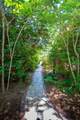 328 Fern House Walk - Photo 54