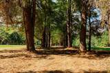 0 Hoopstick Island Road - Photo 11