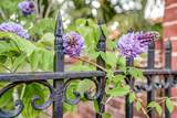 154 Wentworth Street - Photo 7