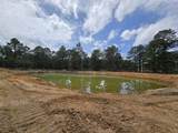 934 Tiger Loop - Photo 5