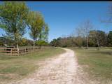 Lot 10 Hopkins Place Drive - Photo 17