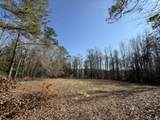 0000 Healing Springs Road - Photo 18