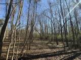 0000 Healing Springs Road - Photo 20