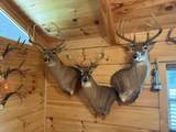 0000 Healing Springs Road - Photo 25