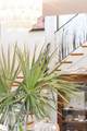 932 Middle Street - Photo 8