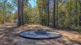 319 Hickory Nut Way - Photo 34