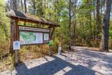 442 Duskywing Drive - Photo 50