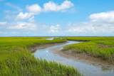 2272 Hamlin Sound Circle - Photo 49