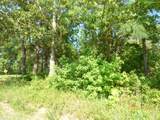 0 Big Woods Road - Photo 1