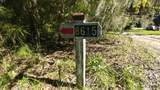8615 Raccoon Island Road - Photo 6
