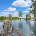135 Stoudenmire Drive - Photo 41