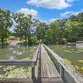 135 Stoudenmire Drive - Photo 44