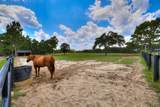 8520 Stock Horse Trail - Photo 85