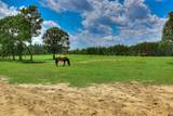 8520 Stock Horse Trail - Photo 86