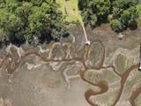 8346 Chisolm Plantation Road - Photo 47