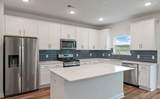 4413 Palm Shadow Drive - Photo 17