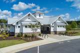 4413 Palm Shadow Drive - Photo 43