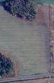 0 Cardinal Road - Photo 4