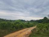 551 Gravel Hill Road - Photo 3