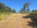 6315 Hwy 301 - Photo 6