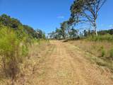 6315 Hwy 301 - Photo 7