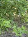 3551 Moonlight Road - Photo 10