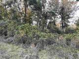 3551 Moonlight Road - Photo 5
