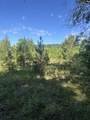 3551 Moonlight Road - Photo 8