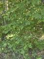 3551 Moonlight Road - Photo 9