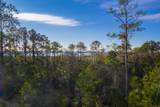 2336 Minifarm Way - Photo 112
