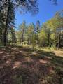 0 Poplar Creek Drive - Photo 5