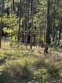 0 Poplar Creek Drive - Photo 6